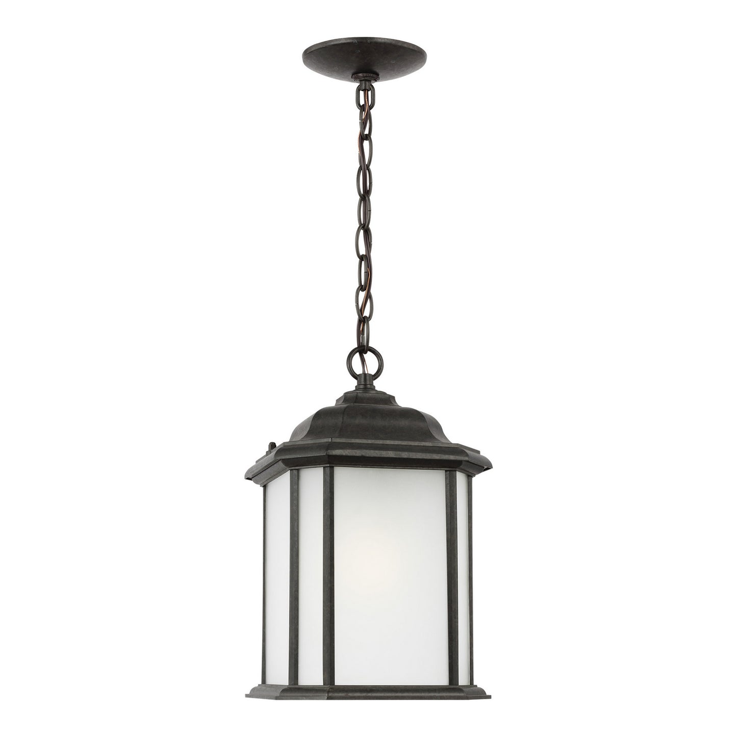 Generation Lighting-60531EN3-746|MAIN
