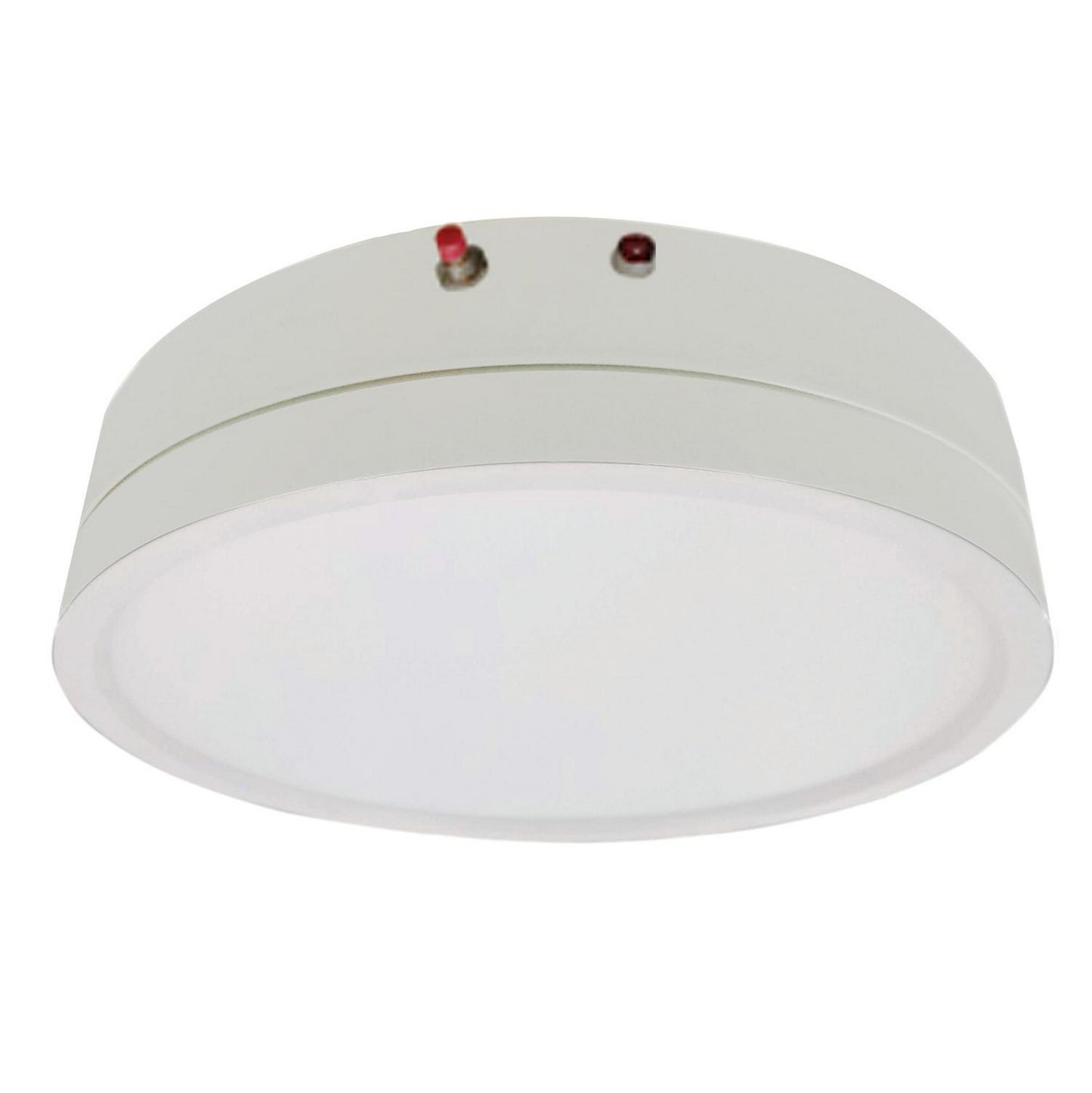 AFX Lighting-EGRF-BB08|MAIN