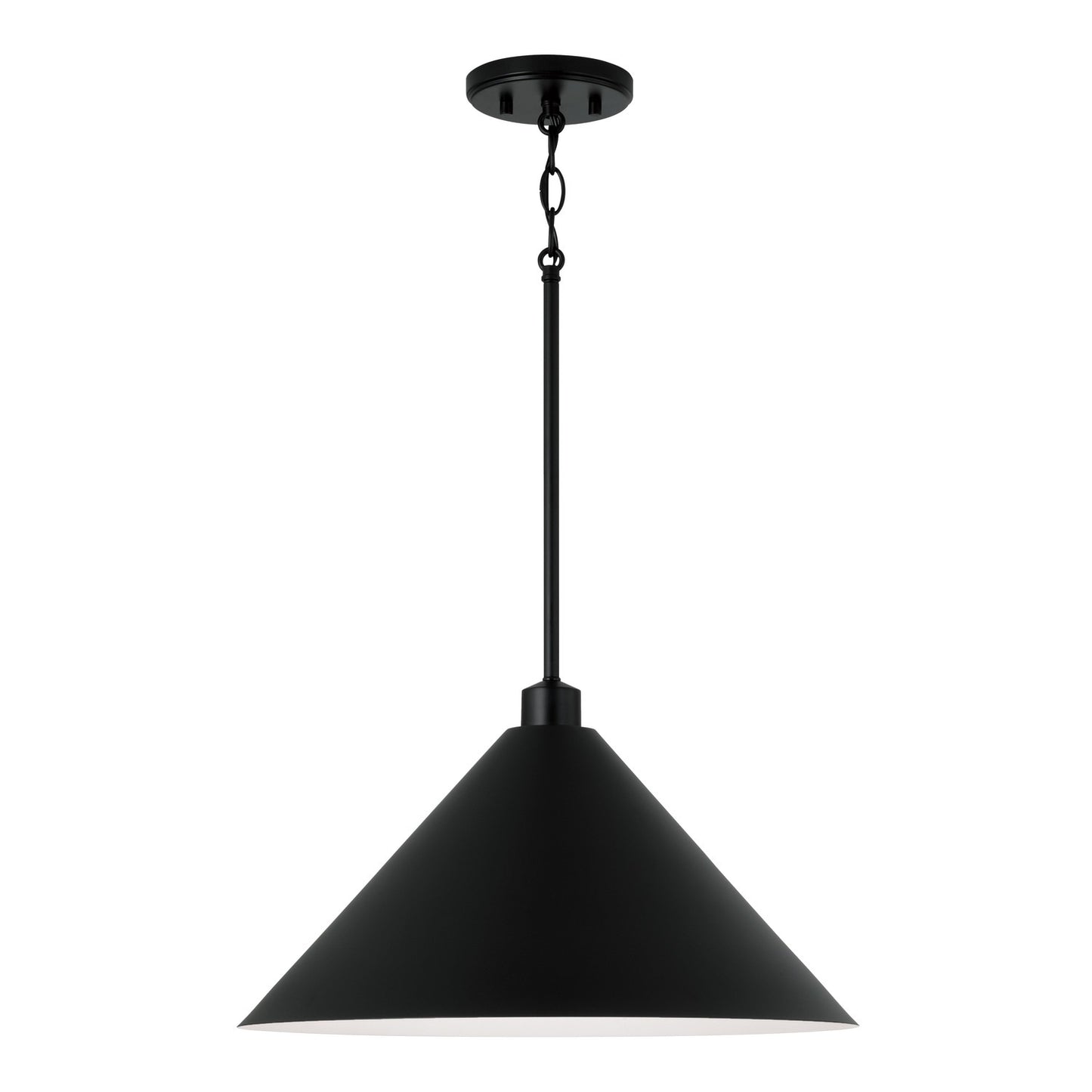 Alden Pendant by Capital Lighting