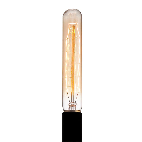 Eurofase - 25843-019 - Light Bulb - Retto - Champagne from Lighting & Bulbs Unlimited.