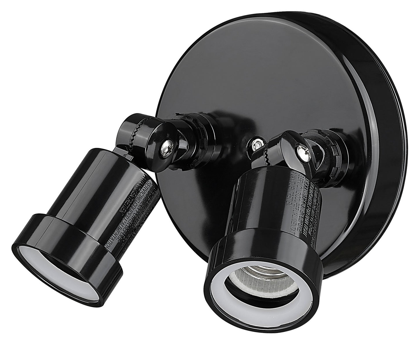 Acclaim Lighting-FL2BK|MAIN