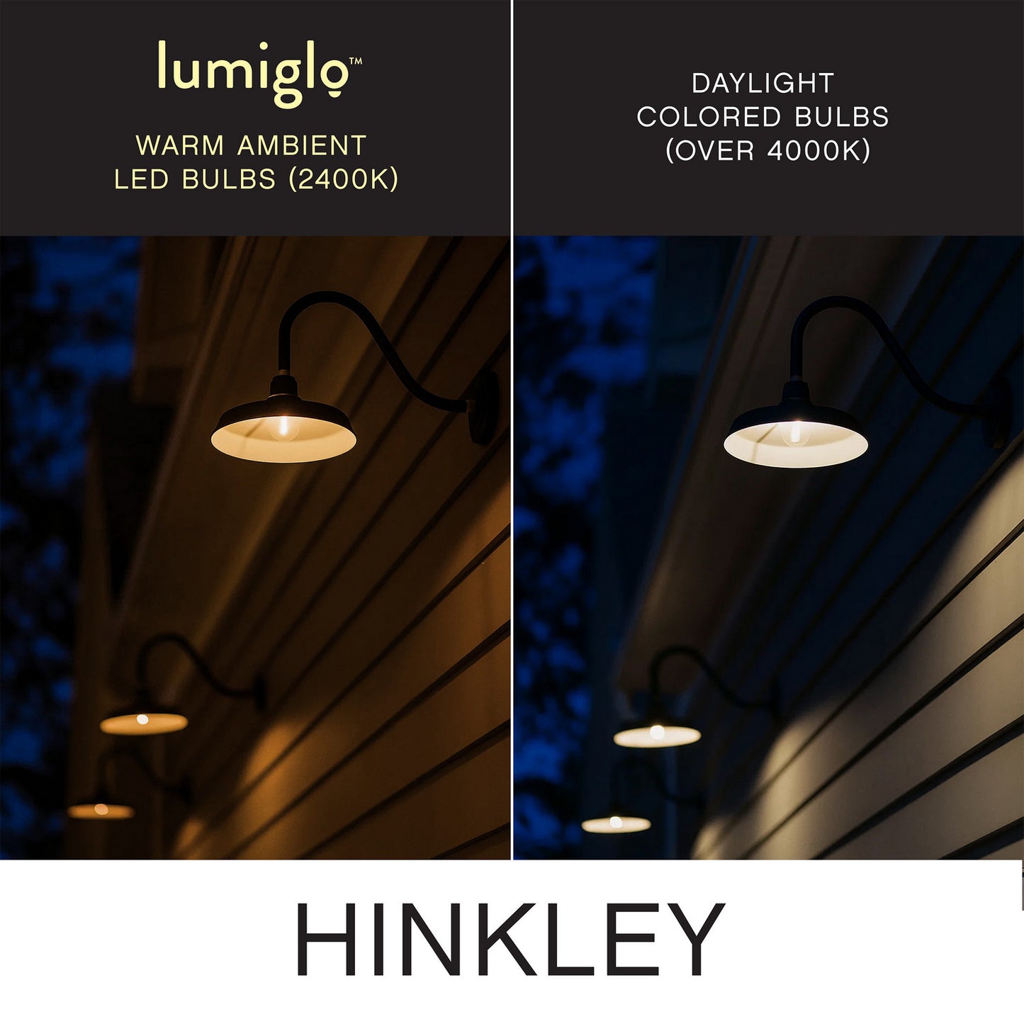 Hinkley-E26T1042411CL-24|ALT|2