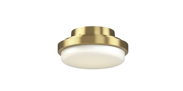LED Light Kit from the TriAire Custom Collection in Brushed Satin Brass Finish by Fanimation