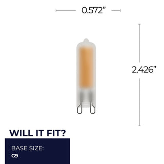 Light Bulb in Frost Finish by Bulbrite (on Backorder ~45951*)