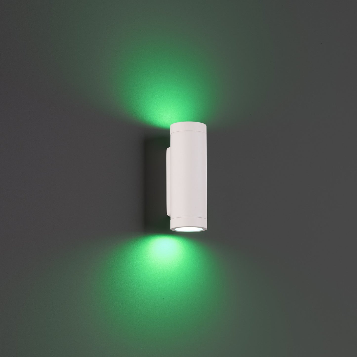 W.A.C. Lighting-3911-CSWT|MAIN
