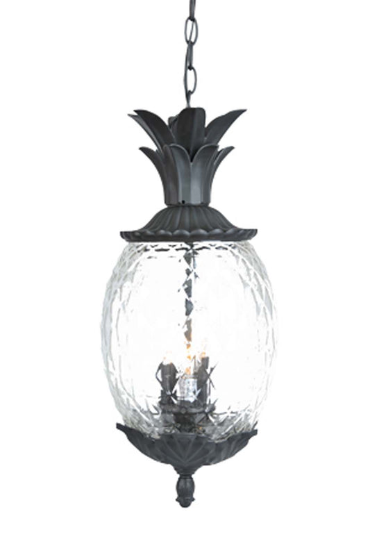 Lanai Wall Lantern by Acclaim Lighting