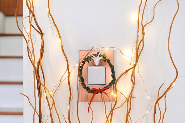 Legrand-ASPD2042W4|ALT|10