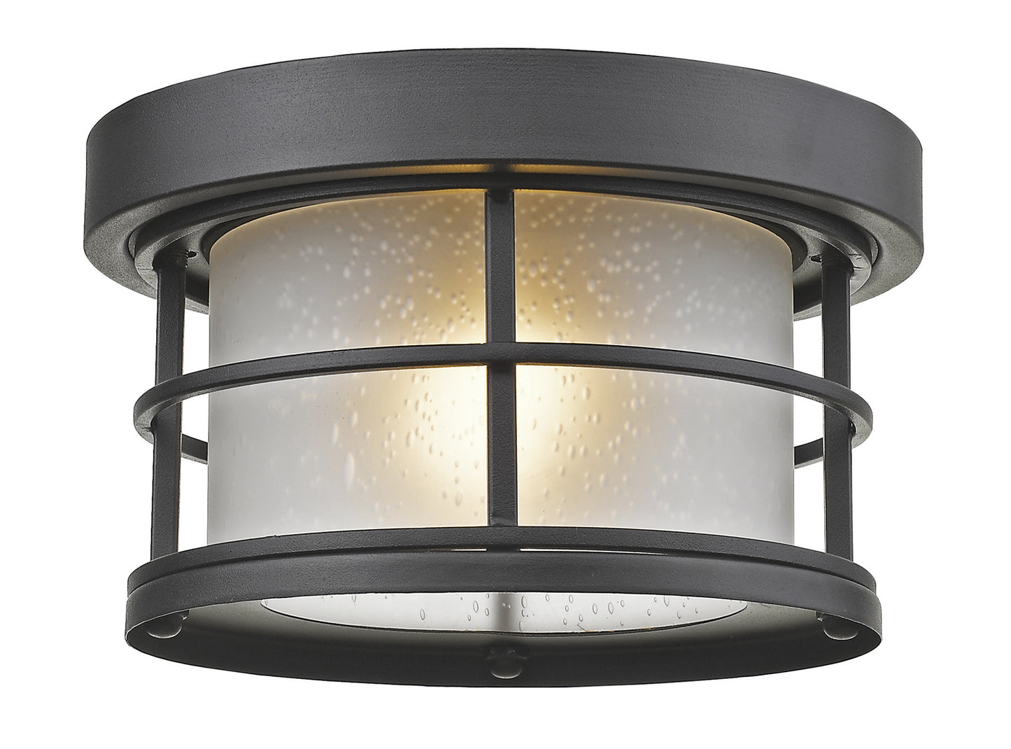 Z-Lite-556F-BK|MAIN