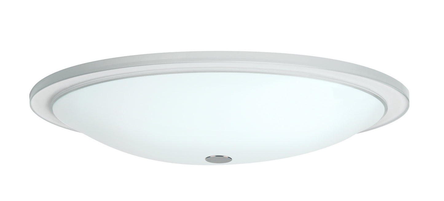 Besa-913039C-HAL|MAIN