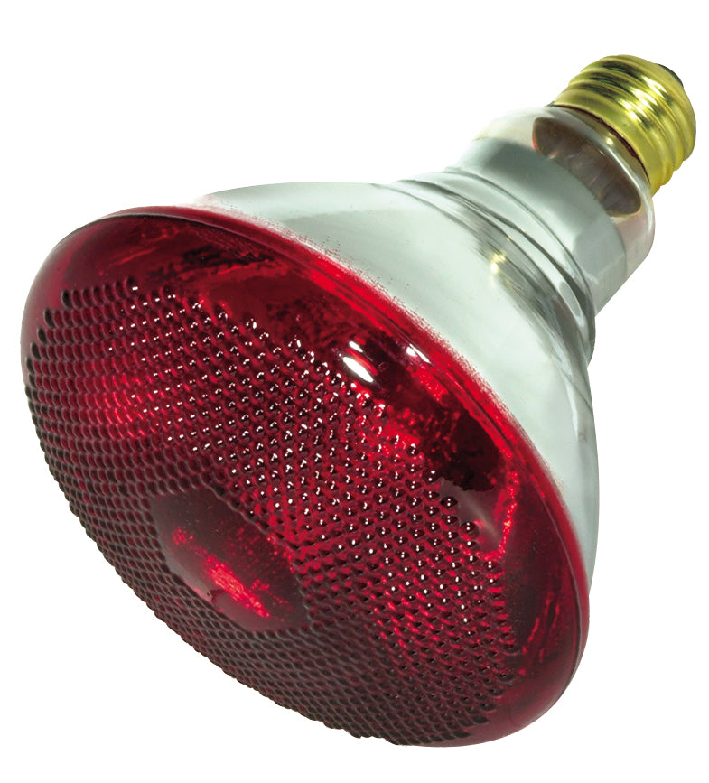 Reflector 175 Watt E26 BR38 120V Incandescent Light Bulb by Satco