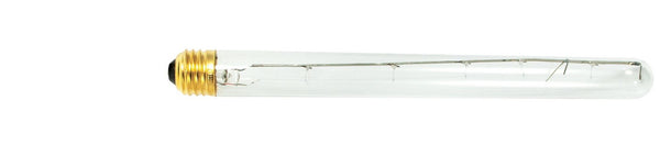 Light Bulb from the Showcase, Collection in Clear Finish by Bulbrite