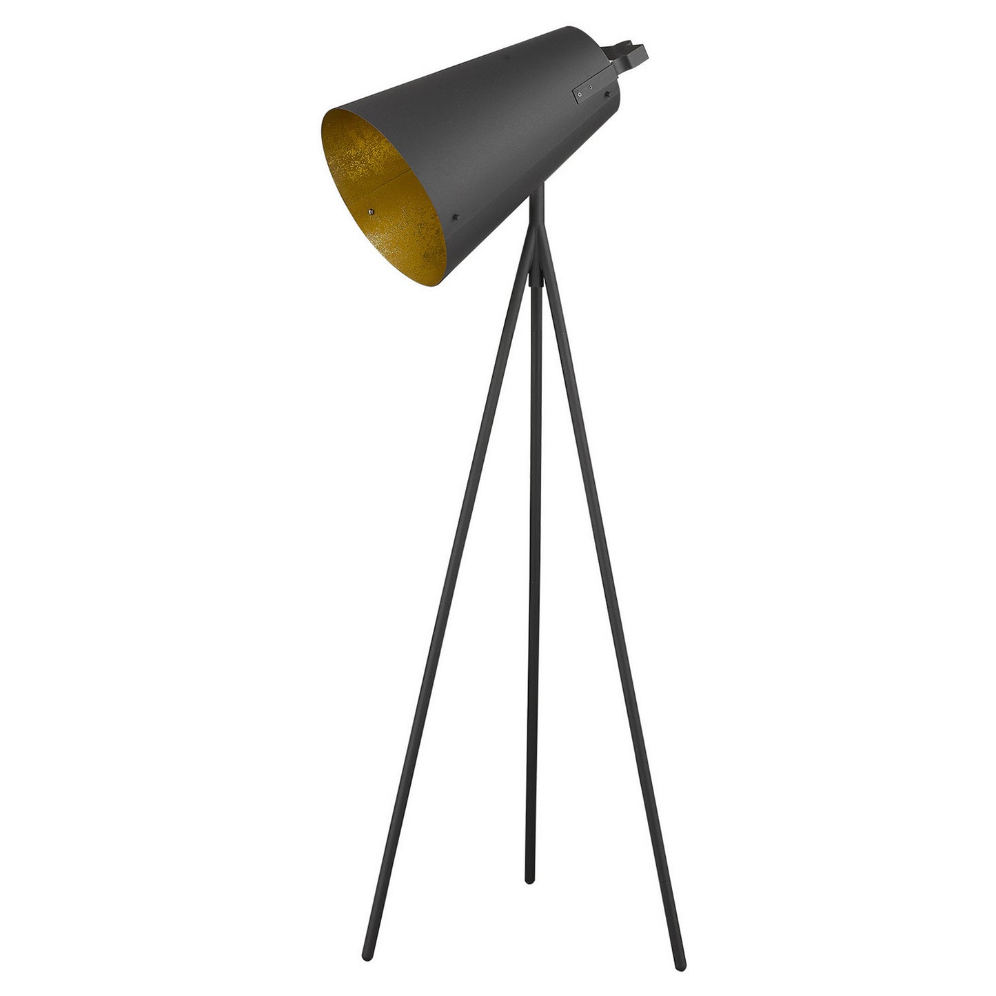 Acclaim Lighting-TF70036BK|MAIN