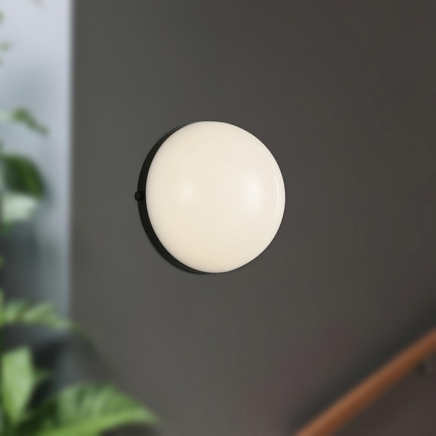 Alora-WV301001MB|ALT|1