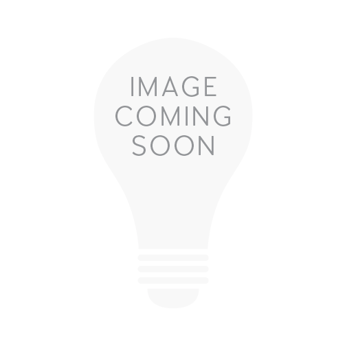 Bulbrite - 293010 - Light Bulb - Clear from Lighting & Bulbs Unlimited in Charlotte, NC
