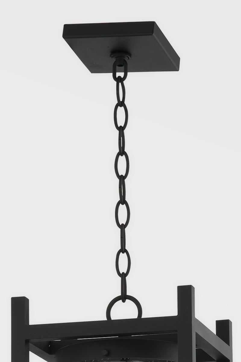 Carlo Hanging Lantern by Troy Lighting
