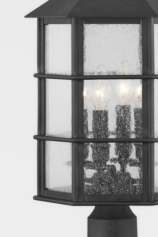 Troy Lighting-P2522-FRN|ALT|1