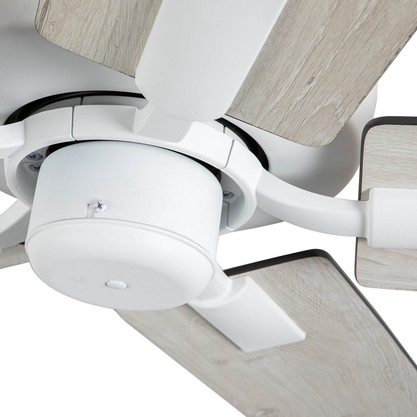 Kuzco Lighting-CF78752-WH-NLW|ALT|3