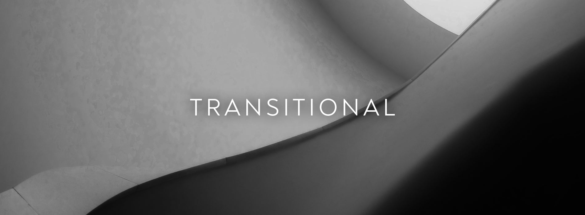Transitional ce6bd184 b303 45c0 82e0 d18cb7efa537