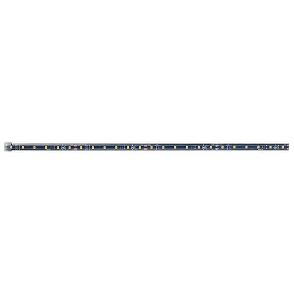 W.A.C. Lighting - T24-OD2-01-40 - LED Tape Light - Invisiled Outdoor - Black from Lighting & Bulbs Unlimited in Charlotte, NC