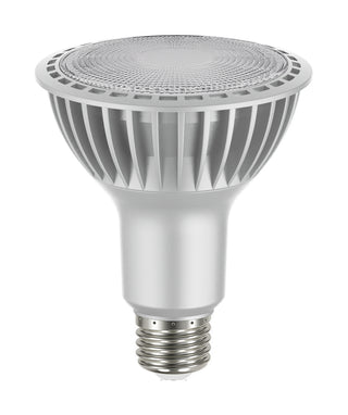 Satco - S22241 - Light Bulb - Silver from Lighting & Bulbs Unlimited in Charlotte, NC