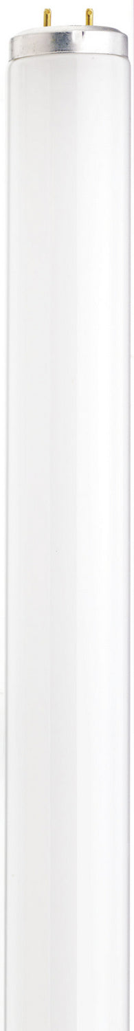 Satco - S26568 - Light Bulb - White from Lighting & Bulbs Unlimited.