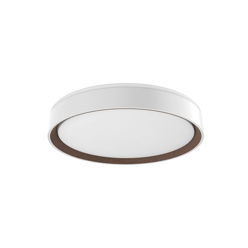 Kuzco Lighting - FM43916-WH/WT - LED Flush Mount - Essex - White/Walnut from Lighting & Bulbs Unlimited in Charlotte, NC