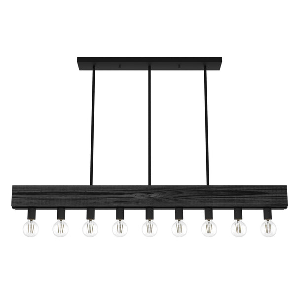 Hunter - 19059 - Nine Light Linear Chandelier - Donelson - Natural Black Iron from Lighting & Bulbs Unlimited in Charlotte, NC
