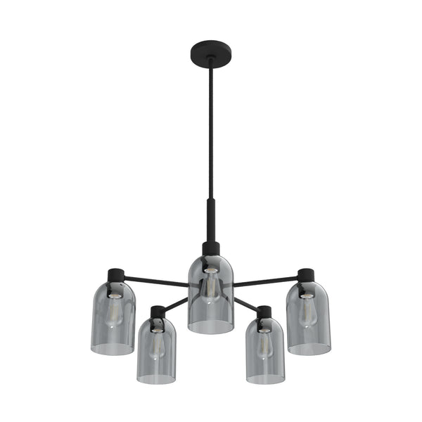 Hunter - 19198 - Five Light Chandelier - Lochmeade - Natural Black Iron from Lighting & Bulbs Unlimited in Charlotte, NC