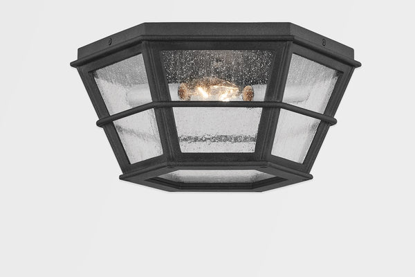 Troy Lighting - C2514-FRN - Two Light Flush Mount - Lake County - French Iron from Lighting & Bulbs Unlimited in Charlotte, NC