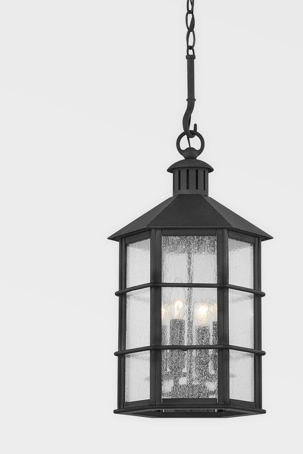 Troy Lighting - F2526-FRN - Four Light Exterior Lantern - Lake County - French Iron from Lighting & Bulbs Unlimited in Charlotte, NC