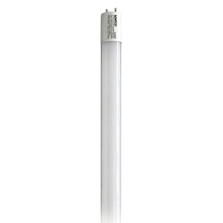 Satco - S39905 - Light Bulb - Gloss White from Lighting & Bulbs Unlimited in Charlotte, NC
