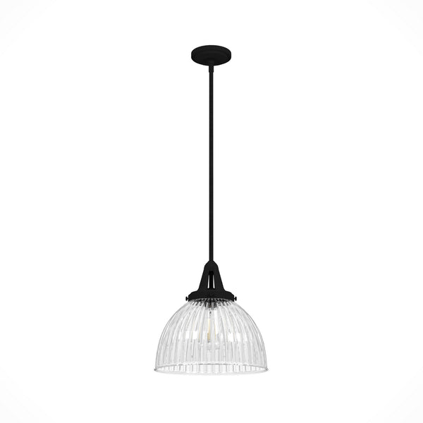 Hunter - 19249 - One Light Pendant - Cypress Grove - Natural Black Iron from Lighting & Bulbs Unlimited in Charlotte, NC