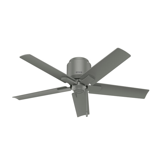 Hunter - 51582 - 44"Ceiling Fan - Terrace Cove - Matte Silver from Lighting & Bulbs Unlimited in Charlotte, NC