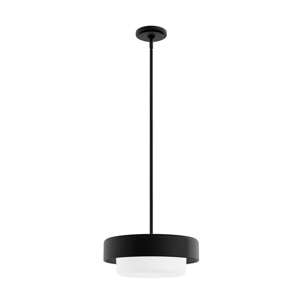 Hunter - 19271 - Two Light Pendant - Station - Natural Black Iron from Lighting & Bulbs Unlimited in Charlotte, NC