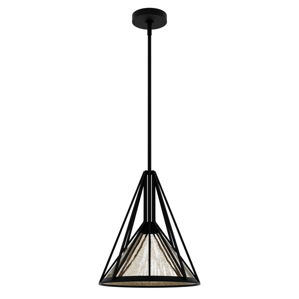 Hunter - 19451 - One Light Pendant - Rafner - Natural Black Iron from Lighting & Bulbs Unlimited in Charlotte, NC