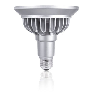 Bulbrite - 777679 - Light Bulb - SORAA - Silver from Lighting & Bulbs Unlimited in Charlotte, NC