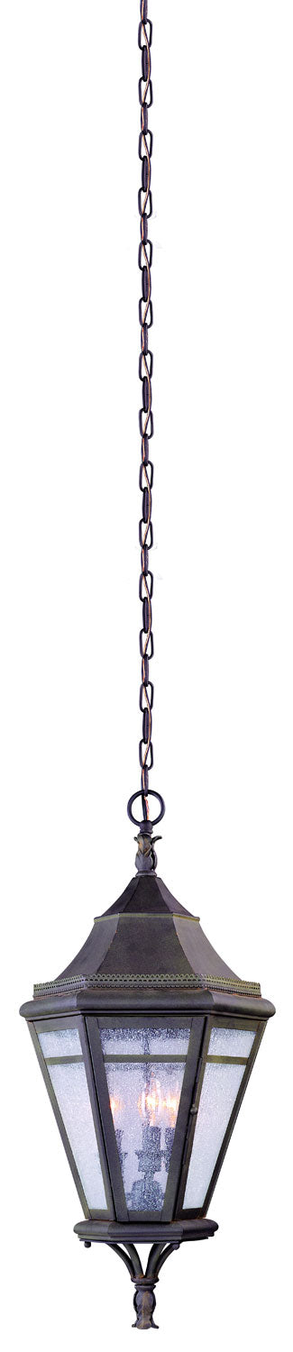 Troy Lighting - F1276NR - Three Light Hanging Lantern - Morgan Hill - Natural Rust from Lighting & Bulbs Unlimited in Charlotte, NC
