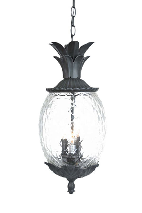 Acclaim Lighting - 7516BK - Three Light Hanging Lantern - Lanai - Matte Black from Lighting & Bulbs Unlimited in Charlotte, NC