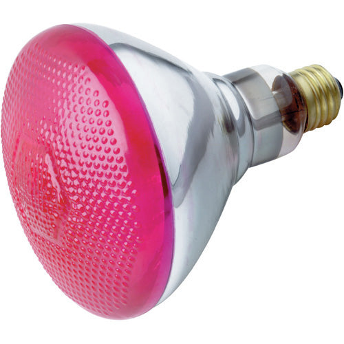 Satco - S4429 - Light Bulb - Pink from Lighting & Bulbs Unlimited.