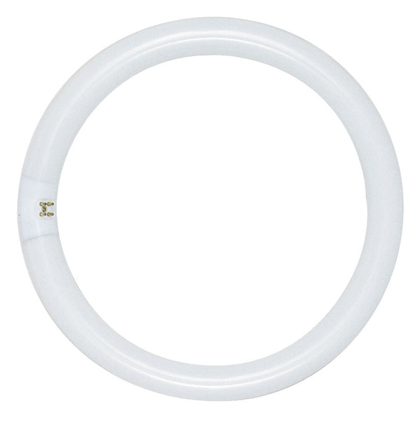 Satco - S6501 - Light Bulb - Frost from Lighting & Bulbs Unlimited.