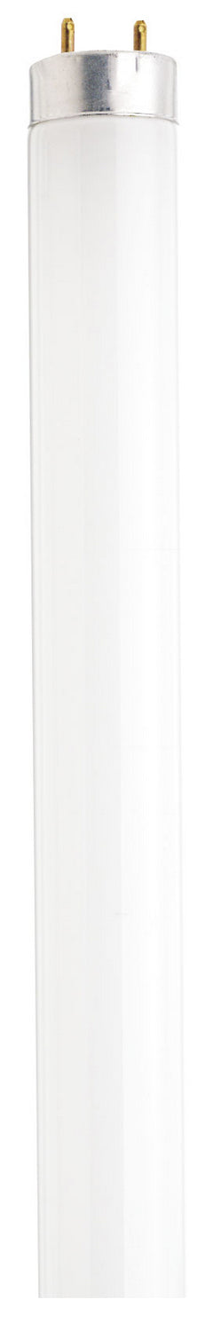 40 Watt, T8, Fluorescent, 3000K Warm White, 82 CRI, Medium Bi Pin base Light Bulb by Satco (Case of 30)