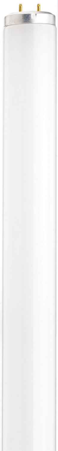 15 Watt, T12, Fluorescent, 4100K Cool White, 62 CRI, Medium Bi Pin base Light Bulb by Satco