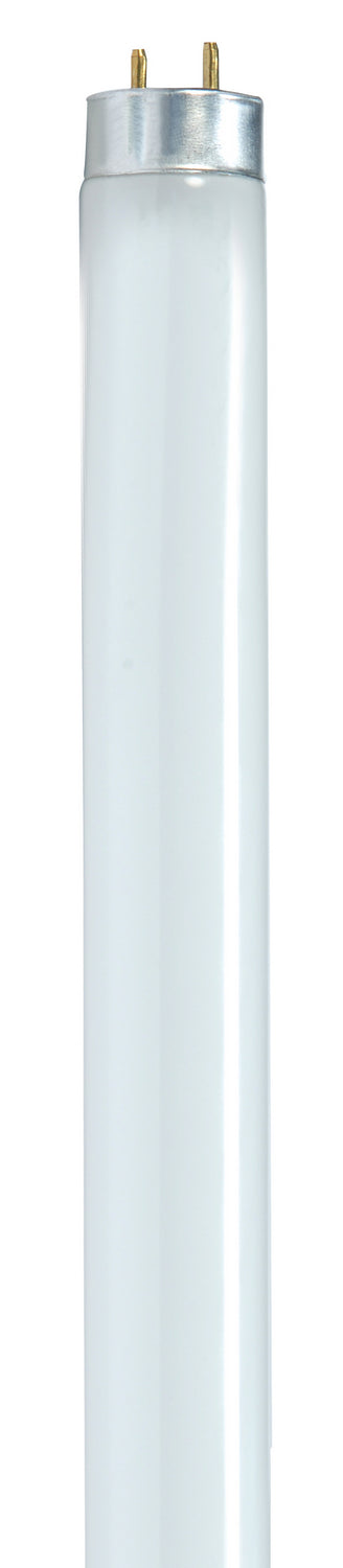 Satco - S8441 - Light Bulb - Gloss White from Lighting & Bulbs Unlimited.