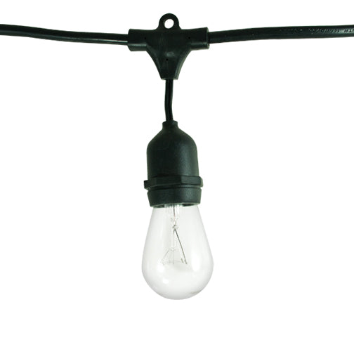 Bulbrite - 810002 - String Light - String - Black from Lighting & Bulbs Unlimited in Charlotte, NC