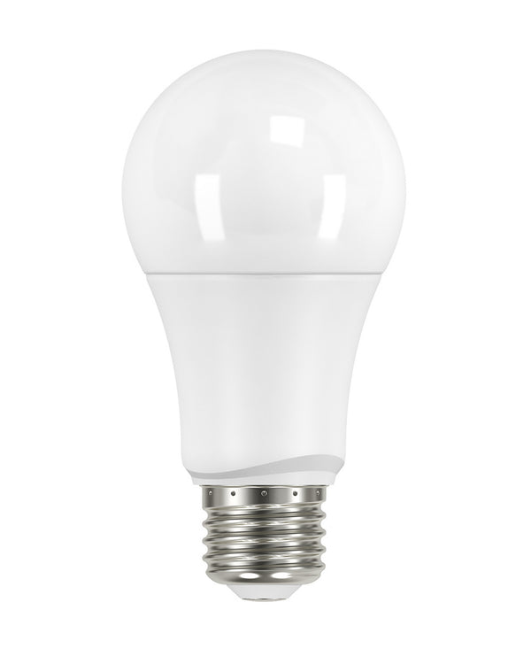 Satco - S29589 - Light Bulb - Frost from Lighting & Bulbs Unlimited.