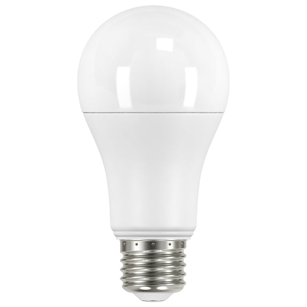 Satco - S11425 - Light Bulb - Frost from Lighting & Bulbs Unlimited in Charlotte, NC