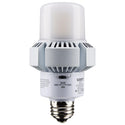 Light Bulb in White Finish by Satco