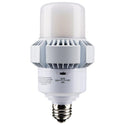 Light Bulb in White Finish by Satco