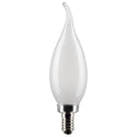 Satco - S21300 - Light Bulb - Frost from Lighting & Bulbs Unlimited in Charlotte, NC