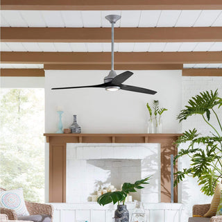 Ceiling Fans